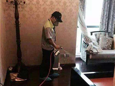 防治白蟻有什么方法！