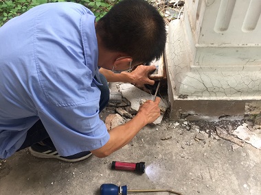 桂城白蟻防治公司除掉白蟻一次需要多長(zhǎng)時(shí)間
