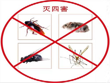 佛山除四害消殺提醒您沒(méi)有看到害蟲也要定期檢查預(yù)防害蟲