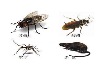 丹灶四害消殺中心怎么除四害？四害是哪四害
