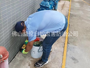 官窯廠(chǎng)區(qū)施藥滅鼠工程